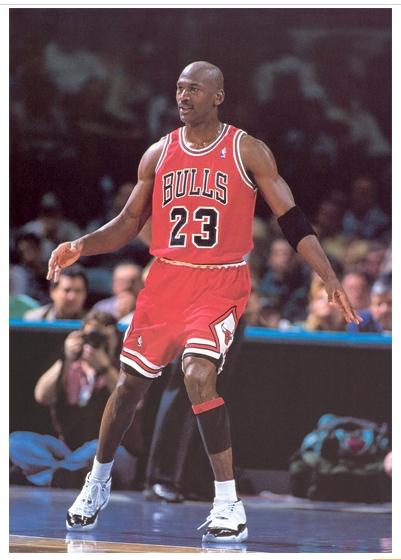 阵容的庇护 阵容的庇护