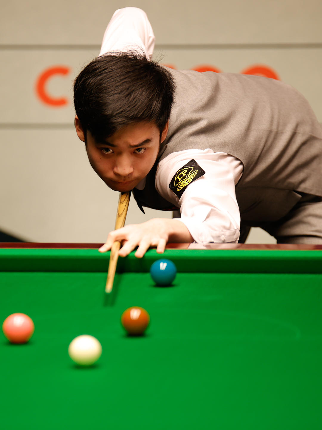 展现了极高 展现了极高