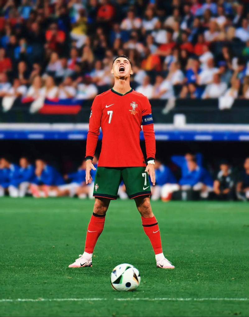 埃尔南德斯 埃尔南德斯