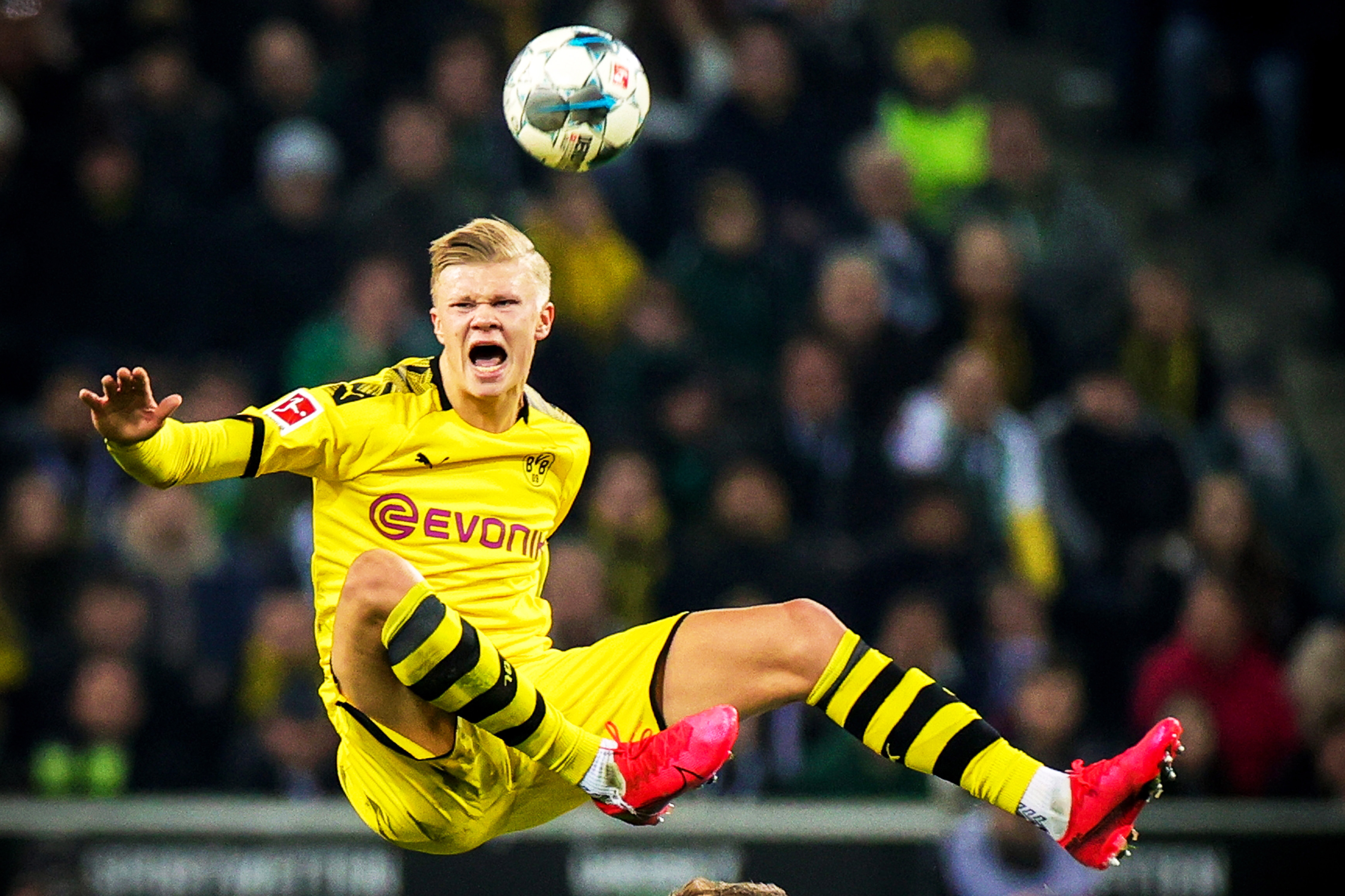 播的高峰 播的高峰