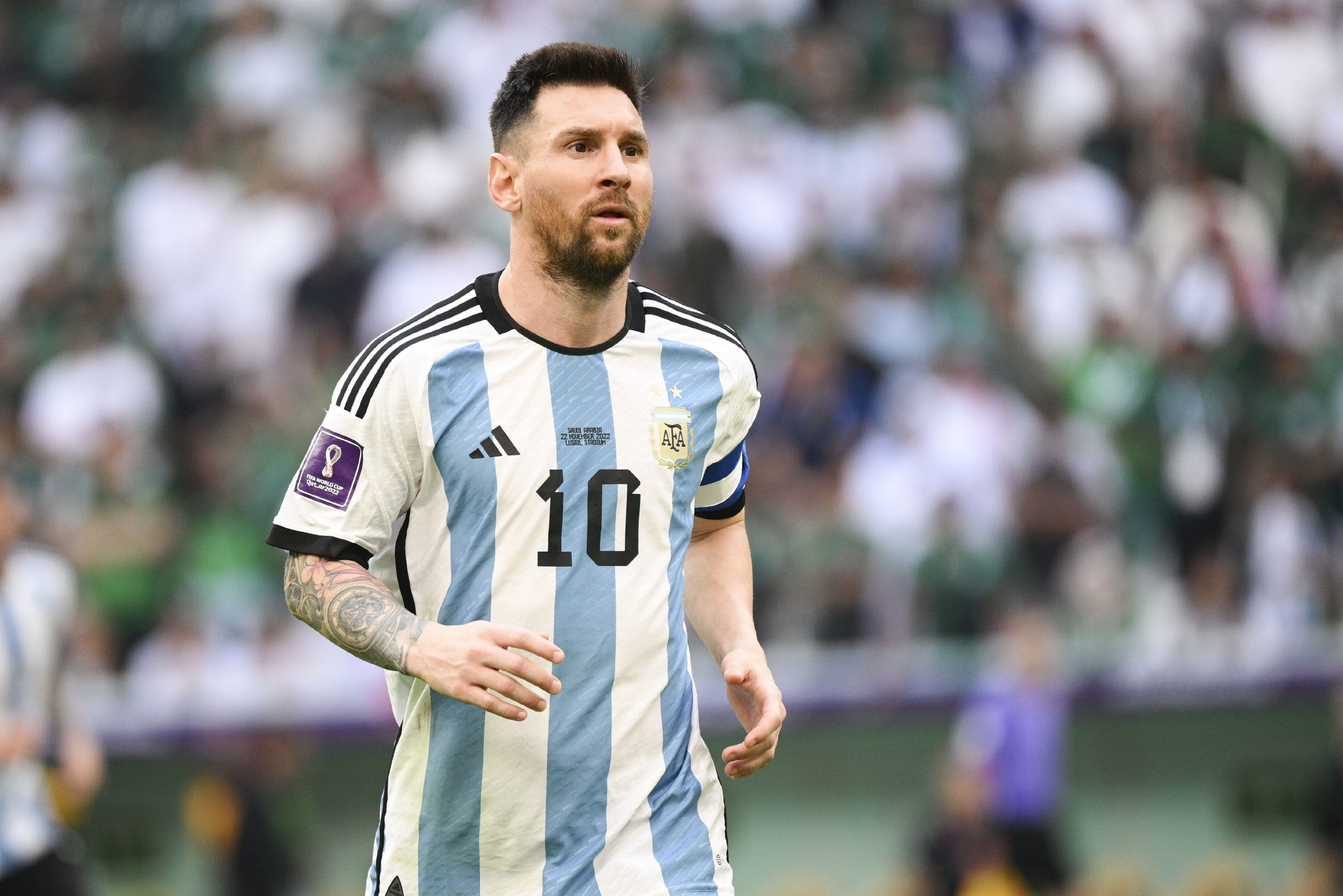 如果你关注 如果你关注